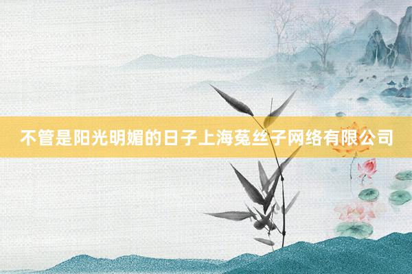 不管是阳光明媚的日子上海菟丝子网络有限公司